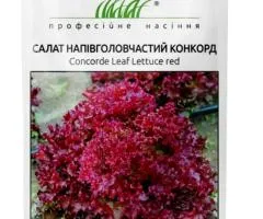 Салат Конкорд красный 30 шт, Семена, 10 шт.