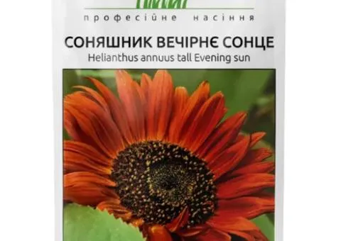 Decorative Sunflower 'Evening Sun' 1 g, Flower Seeds, 20 pcs