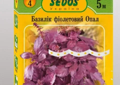Purple basil on tape Opal 5 m, Seeds, 10 pcs