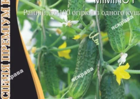 Огурец Мимино F1 10 шт Premium АКЦИЯ, Семена, 25 шт.