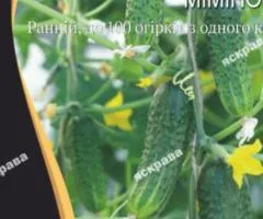 Огурец Мимино F1 10 шт Premium АКЦИЯ, Семена, 25 шт.