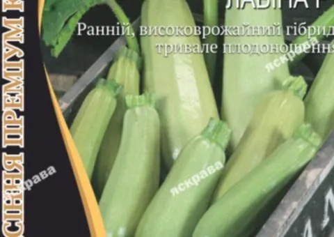 Кабачок Лавина F1 5 семян Премиум АКЦИЯ, Семена, 25 шт.