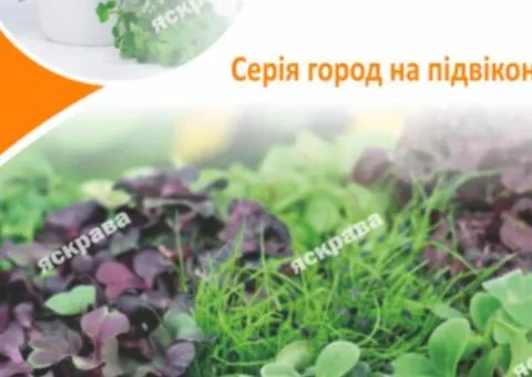 Семена микрозелени рукколы 10 г АКЦИЯ, Семена, 10 шт.