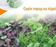Семена микрозелени рукколы 10 г АКЦИЯ, Семена, 10 шт.