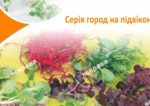 Семена микрозелени редиса 10 г АКЦИЯ, Семена, 10 шт.