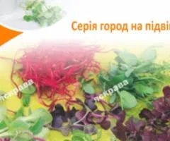 Семена микрозелени редиса 10 г АКЦИЯ, Семена, 10 шт.