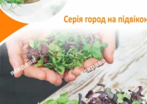 Семена микрозелени гороха 30 г АКЦИЯ, Семена, 10 шт.