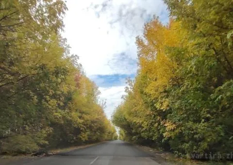 Продажа земельного участка, 17 соток, Грабовка, Грабовка - 3/10