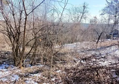 Продажа земельного участка, 10 соток, с. Левков - 10/10