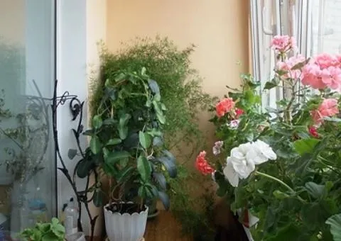 Продажа 3-комнатной квартиры, 85 м², Киевская, Центр, Житомир - 8/10