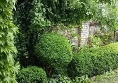 Продажа 2-комн. дома, 40 м², ул. Олены Телиги, Мальованка, Житомир - 6/10