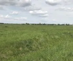 Продажа земельного участка, 300 соток, Солнечное, Солнечное