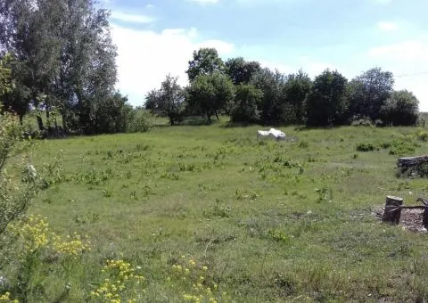 Land plot for sale, 48 ares, Dermanskyi St, Korchak - 2/5