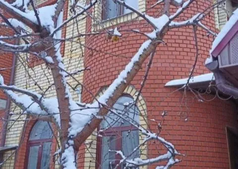 Долгосрочная аренда 4-комнатного дома, 110 м², ул. Шевченко, Центр, Житомир - 6/10