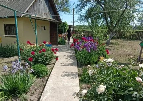 Продажа земельного участка, 9 соток, ул. Железнодорожная, Миськмолзавод, Житомир - 2/3