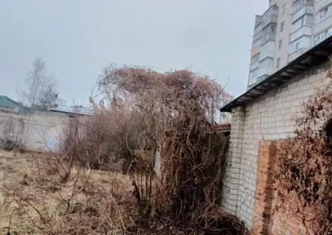 Продажа 3-комнатного дома, 100 м², ул. Мира, Богуния, Житомир - 4/10