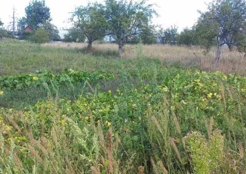Продажа земельного участка, 20 соток, ул. Чкалова, с. Солнечное - 2/5