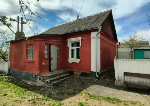 Продажа 4-комнатного дома, 85 м², с большим участком, Андрушевка - 3/5