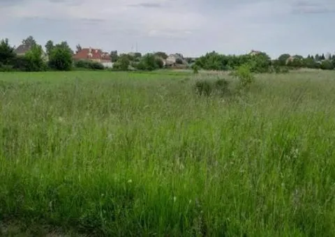 Land plot for sale, 36 ares, Sinhury, green suburb of Zhytomyr