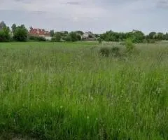 Land plot for sale, 36 ares, Sinhury, green suburb of Zhytomyr