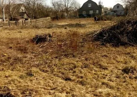 Продажа земельного участка, 14 соток, с. Сингуры, Житомирская область - 2/3