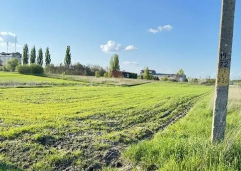 Land plot for sale in Sinhury, near Zhytomyr, green suburb - 2/3