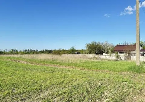 Land plot for sale in Sinhury, near Zhytomyr, green suburb - 3/3
