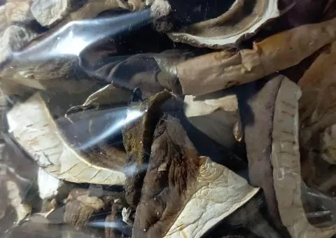 Dried porcini mushrooms