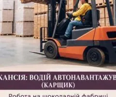 Forklift driver job in Israel