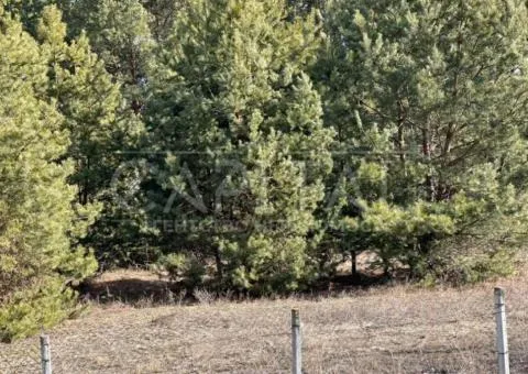 Land for sale for residential development, 10 sot., Sadova St., Khotianivka - 1/9
