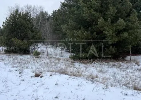 Land for sale for residential development, 10 sot., Sadova St., Khotianivka - 3/9