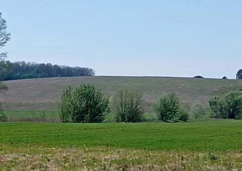Urgent sale of a scenic land plot in Horenychi - 1/8
