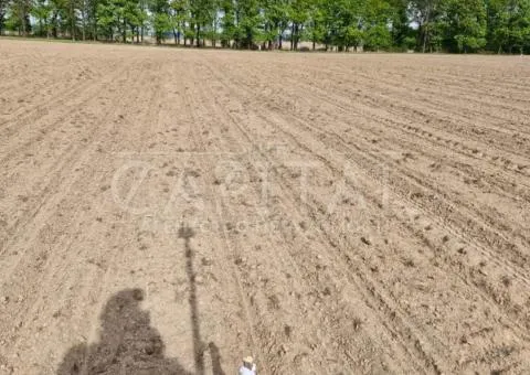 Land for sale for residential development, 148.55 sotkas, Brovary - 5/8