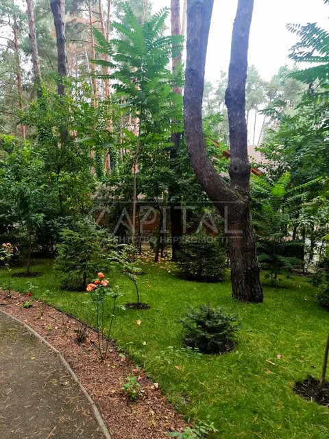 Аренда  частный дом Киевская обл., Романков, Лесная ул., 7д - 3/12