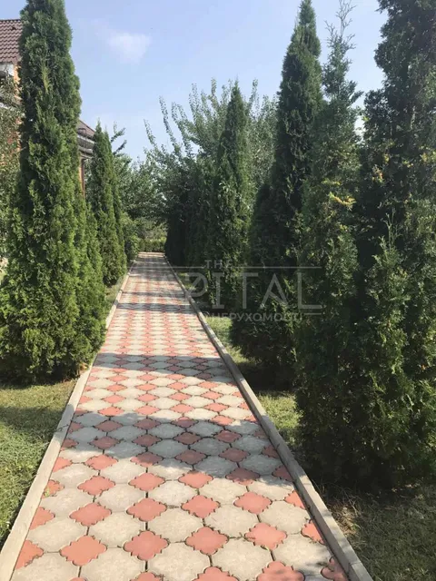Аренда  частный дом Киевская обл., Петрушки,  - 32/37