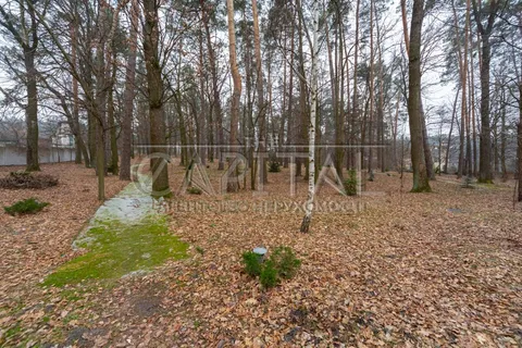 Аренда  частный дом Киевская обл., Дмитровка,  - 55/60
