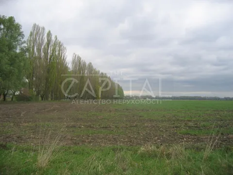 Аренда  участок под жилую застройку Киевская обл., Глубокое,  - 1/9