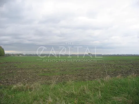 Аренда  участок под жилую застройку Киевская обл., Глубокое,  - 4/9