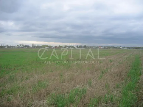 Аренда  участок под жилую застройку Киевская обл., Глубокое,  - 6/9