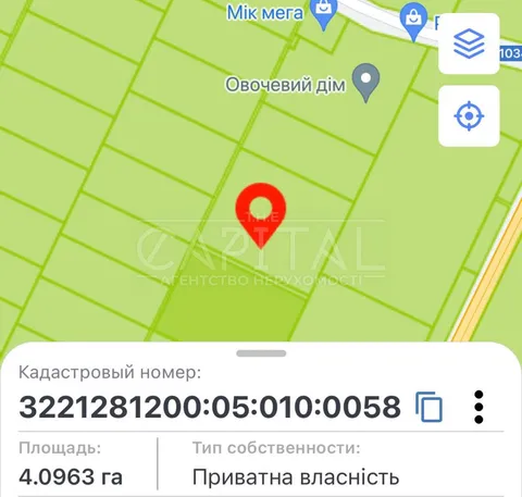 Аренда  земля коммерческого назначения Киевская обл., Скибин,  - 5/8
