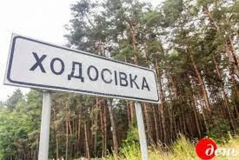 Аренда  земля сельскохозяйственного назначения Киевская обл., Ходосовка,  - 2/3