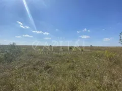 Аренда  земля сельскохозяйственного назначения Киевская обл., Фасовая, 