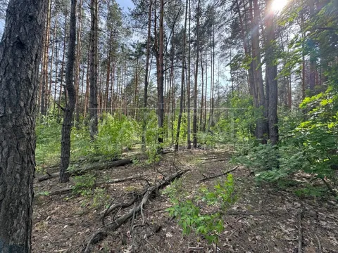 Аренда  участок под жилую застройку Киевская обл., Киев, Ушицька ул.,  - 11/25