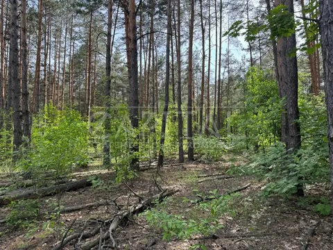 Аренда  участок под жилую застройку Киевская обл., Киев, Ушицька ул.,  - 19/25