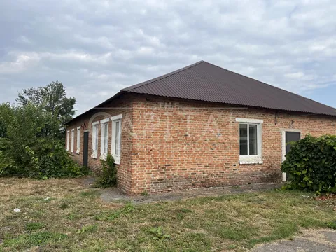 Аренда  коммерческое помещение Киевская обл., Росава, Підгірний ул.,  - 34/40