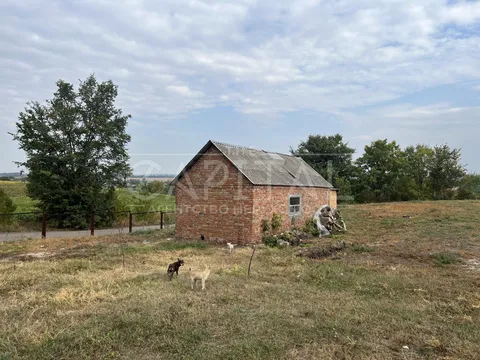 Аренда  коммерческое помещение Киевская обл., Росава, Підгірний ул.,  - 38/40