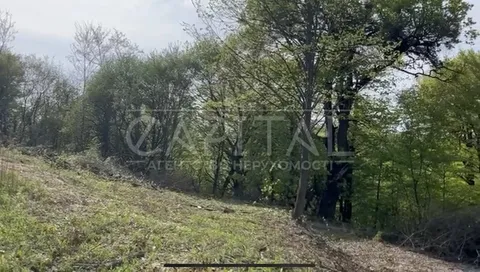 Аренда  земля сельскохозяйственного назначения Закарпатская обл., Мукачево, Підгорянська ул.,  - 8/8