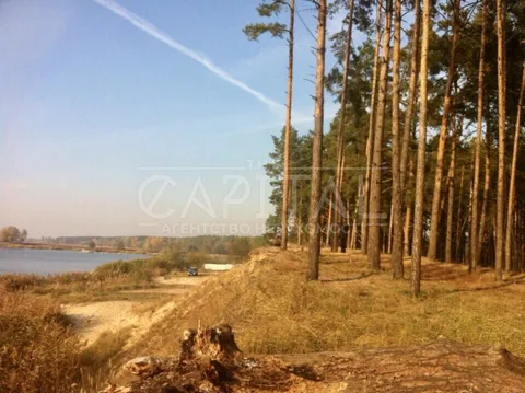Аренда  участок под жилую застройку Киевская обл., Таценки,  - 2/11