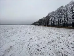 Аренда  участок под жилую застройку Киевская обл., Белогородка, 3
