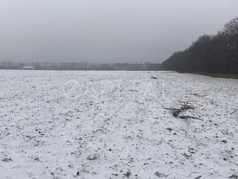 Аренда  участок под жилую застройку Киевская обл., Белогородка, 3 - 3/7